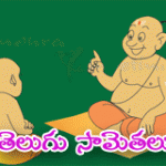 Saamethalu (Telugu Proverbs) 2